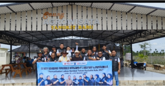 Tangkit bakal jadi daerah kebun nanas terbesar di Jambi.