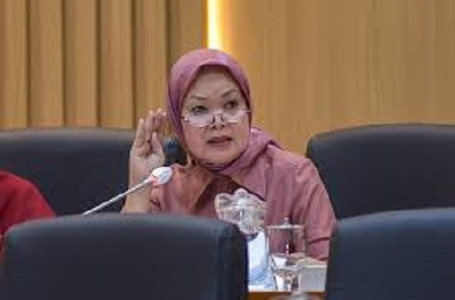 Foto : Anggota Komisi IX Dewan Perwakilan Rakyat (DPR) RI, Sri Meliyana
