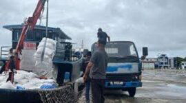 Ilustrasi Impor Beras Ilegal

