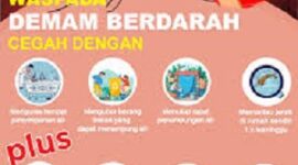 Ilustrasi, Kasus DBD Meningkat di Muaro Jambi, Warga Diminta Waspada