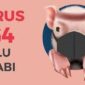 Ilustrasi Waspada Flu Babi