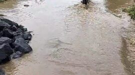 Kondisi jalan di Desa paling serumpun . Banjir mulai mengancam Sungai Penuh