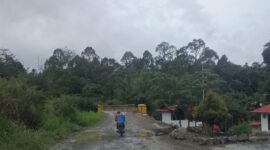 Tampak kondisi jalan Pulau Sangkar Kebun Baru yang rusak parah