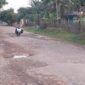 Foto : jalan padang lamo