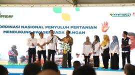 Menteri Pertanian (Mentan) Andi Amran Sulaiman menyerukan gerakan nasional untuk memperkuat peran penyuluh pertanian