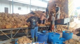 Pemerintah Provinsi Jambi tengah memperjuangkan pembangunan pabrik Kelapa Dalam di Tanjabtim