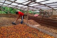 Pemprov Jambi dorong Pinangg masuk Komoditas Nasional