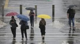 Ilustrasi Prakiraan cuaca di provinsi jambi, sebagian besar hujan ringan