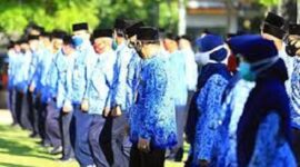 Pemerintah berencana seleksi PNS dan PPPK secara besar-besaran 2026