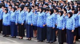 Ilustrasi ASN Indonesia, Gaji ASN Kerinci dalam waktu dekat mengalami kenaikan. Untuk PPPK belum ada kejelasan.