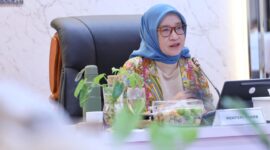 MenpanRb, Rini Widiyantini