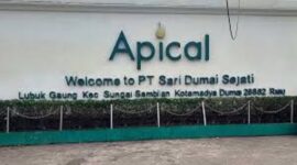 Apical grup membuka lowongan pekerjaan