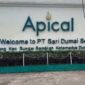 Apical grup membuka lowongan pekerjaan