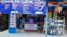 Foto : Usaha BRI Link, peluang cuan