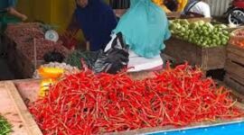 Harga Cabai di Pasar Tanjabtim terus merangkak naik, kini tembus Rp 100 ribu perkilogram.