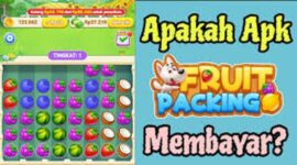Dapat Saldo DANA dengan bermain game Fruit PACKING
