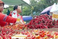 Harga Cabai di Tebo Mahal, tembus Rp 100 ribu perkilogram