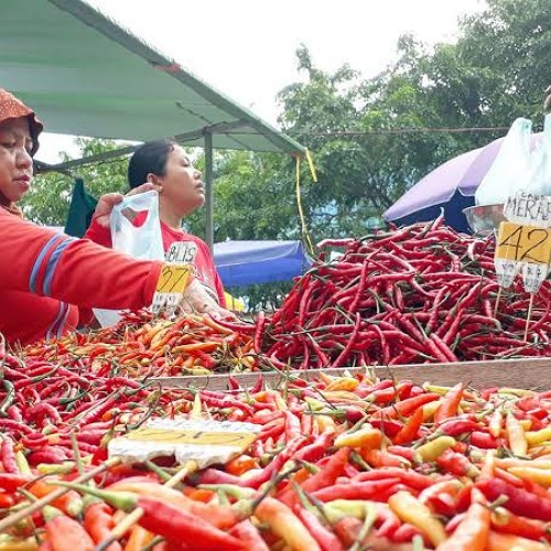 Harga Cabai di Tebo Mahal, tembus Rp 100 ribu perkilogram