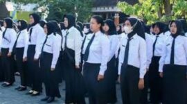 Foto : PPPK Paruh Waktu