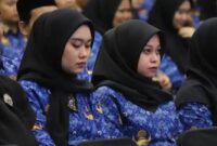 Foto : ASN 
Diperpanjang atau tidaknya kontrak PPPK kini bergantung pada kinerja PPPK itu sendiri.