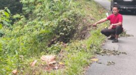 Salah seorang warga menunjuk lokasi mobil masda yang terjun ke jurang batas Kerinci-merangin