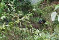 Tampak lokasi jurang tempat jatuhnya mobil yang mengakibatkan dua penumpang hilang