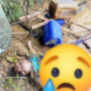 Seorang korban kecelakaan mobil masuk jurang di batan jalan Kerinci-merangin ditemukan