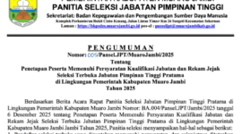Pengumuman seleksi Administrasi JPT Muaro Jambi.
