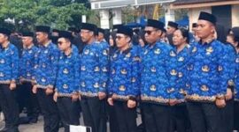 Ilustrasi NIP PPPK 