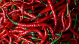 Sempat naik hingga Rp 100 ribu perkilogram, kini harga Cabe di Tanjabtim kembali turun.