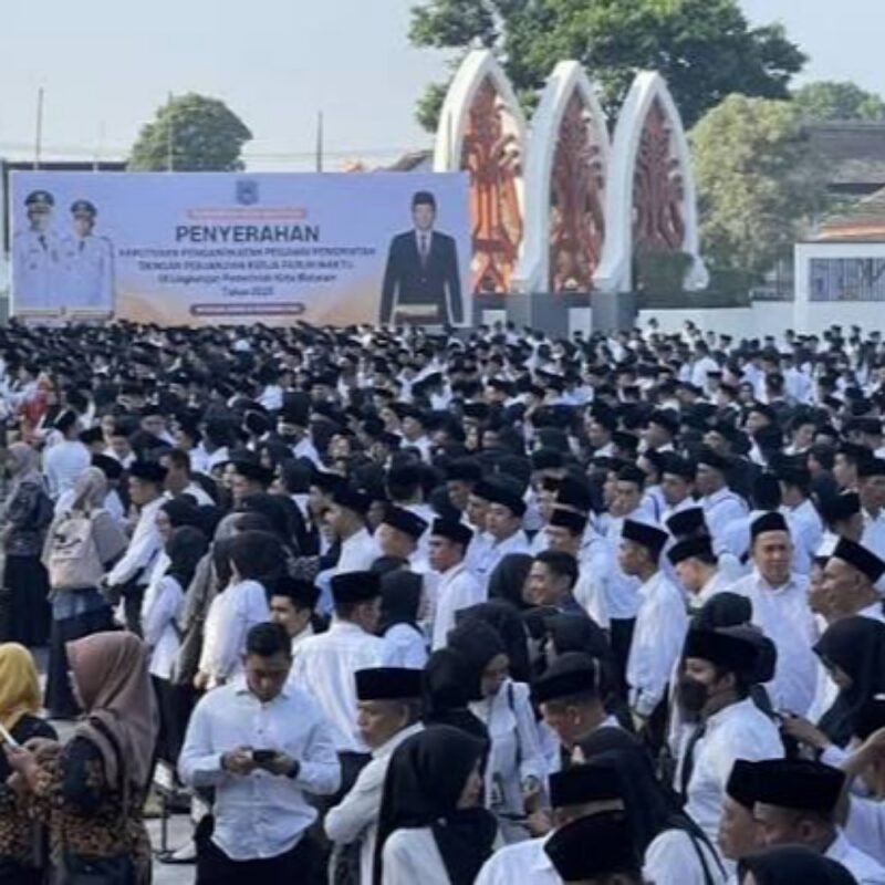 Ilustrasi PPPK Paruh Waktu