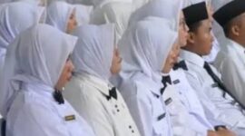 Ilustrasi Tenaga Honorer