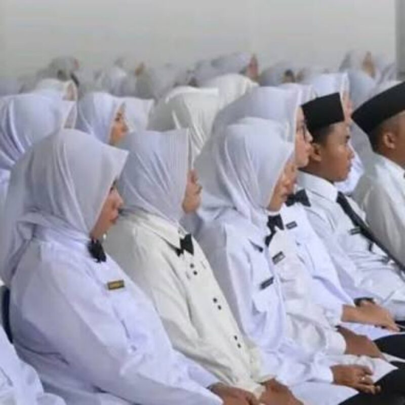Ilustrasi Tenaga Honorer