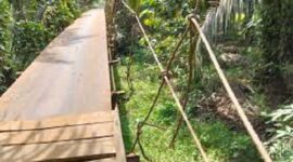 Kondisi jembatan penghubung desa Koto Baru-Seling, Kecamatan Tabir Selatan yang rusak. Hingga membuat tiga wrga terjatuh.