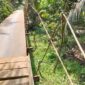 Kondisi jembatan penghubung desa Koto Baru-Seling, Kecamatan Tabir Selatan yang rusak. Hingga membuat tiga wrga terjatuh.