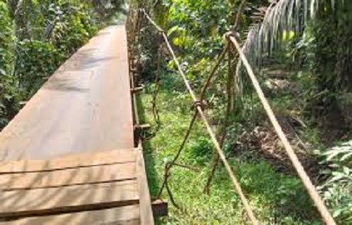 Kondisi jembatan penghubung desa Koto Baru-Seling, Kecamatan Tabir Selatan yang rusak. Hingga membuat tiga wrga terjatuh.