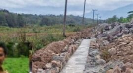 Dugaan keterlibatan D oknum ASN di DTPH Kerinci terhadap sejumlah proyek.