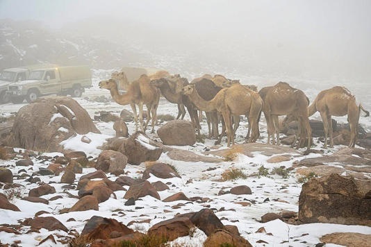 salju di Jabal Al-Lawz di wilayah Tabuk, Arab Saudi pada tahun 2021