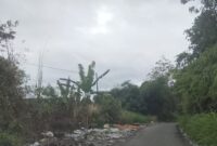 Tampak Sampah penumpuk dijalan Pulau Sangkat-kebun baru