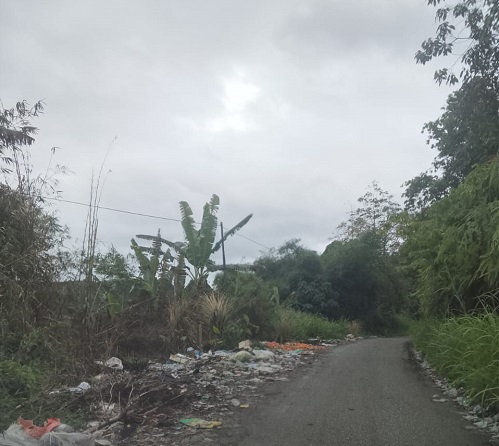 Tampak Sampah penumpuk dijalan Pulau Sangkat-kebun baru