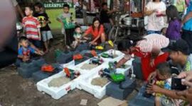 Sewa mainan anak-anak menjadi salah satu peluang bisnis yang menjanjikan saat ini.