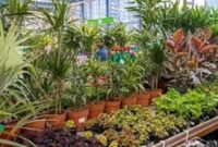 Bisnis Tanaman hias, menjadi salah satu bisnis yang menggiyurkan saat ini.