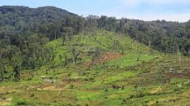 ilustrasi jalan produksi kerinci 