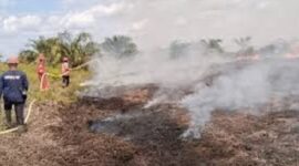 Kebakaran Lahan Gambut di Muaro Jambi, Pemilik lahan ditetapkan jadi tersangka