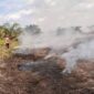 Kebakaran Lahan Gambut di Muaro Jambi, Pemilik lahan ditetapkan jadi tersangka