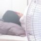 Tidur dengan kipas angin terpasang bisa picu asam urat
