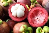 Manfaat Kulit Manggis bagi kesehatan