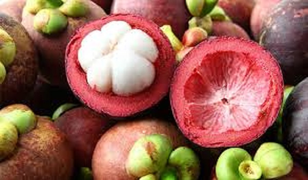 Manfaat Kulit Manggis bagi kesehatan