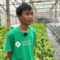 Dampak program MBG dirasakan petani hidropolig di Indonesia