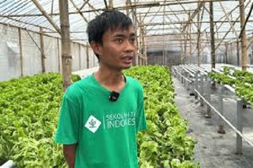 Dampak program MBG dirasakan petani hidropolig di Indonesia